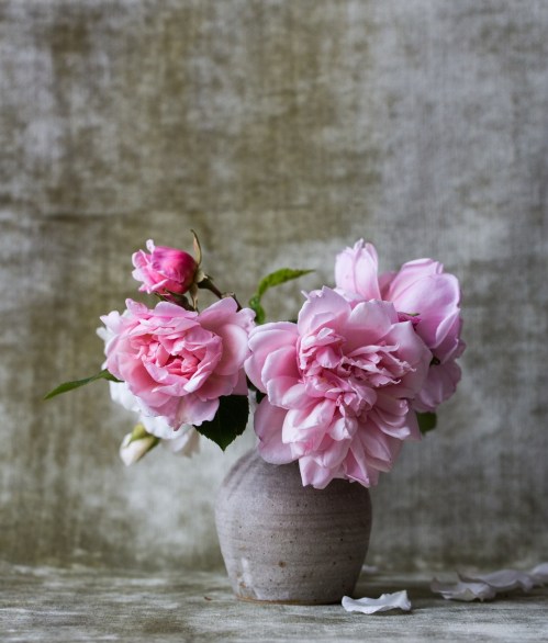 Source: Unsplash.com/Alexandra Seinet